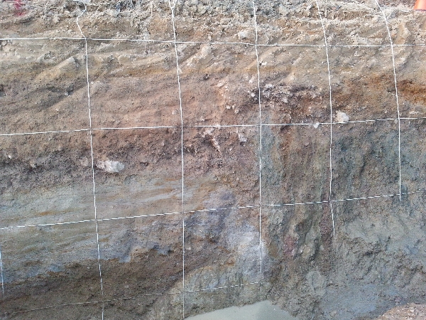 Secondary Structures : Quaternary Fault observed at trench site along the Yangsan Fault 대표이미지